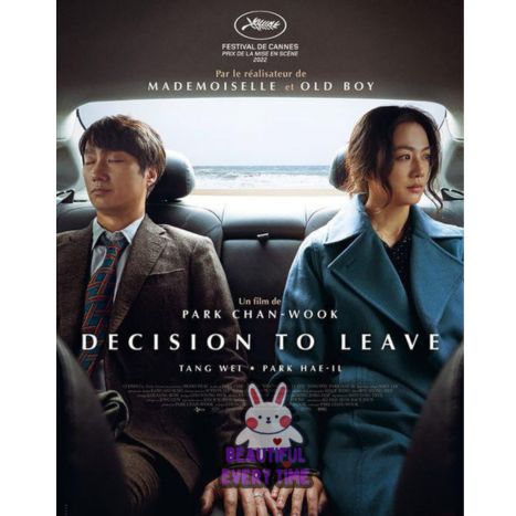 “Decision to leave” review